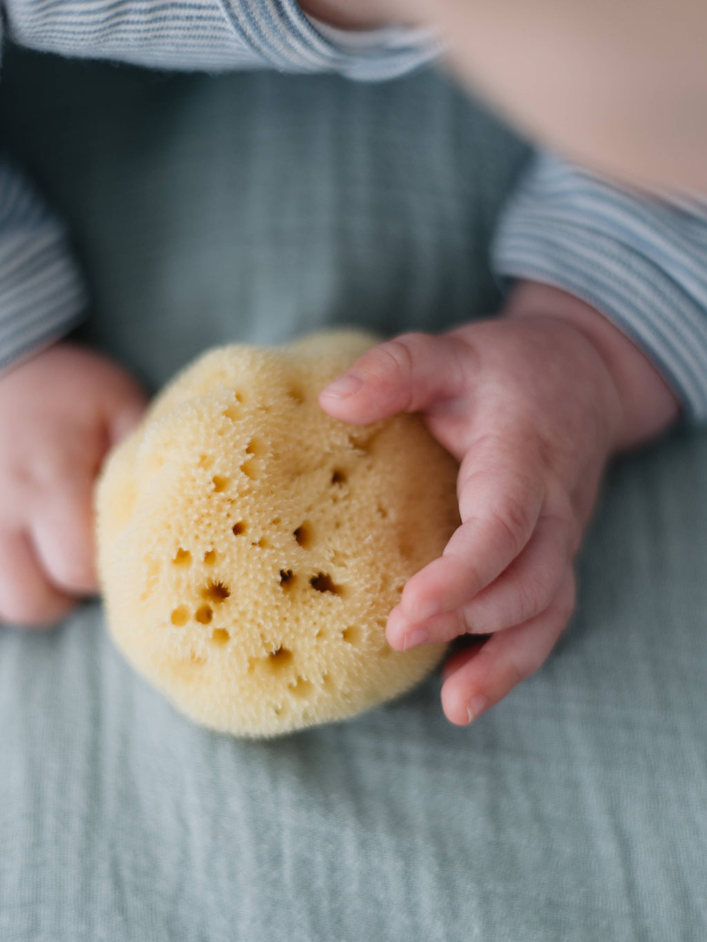 Natural Sponge Baby - Skincare Baby Shower