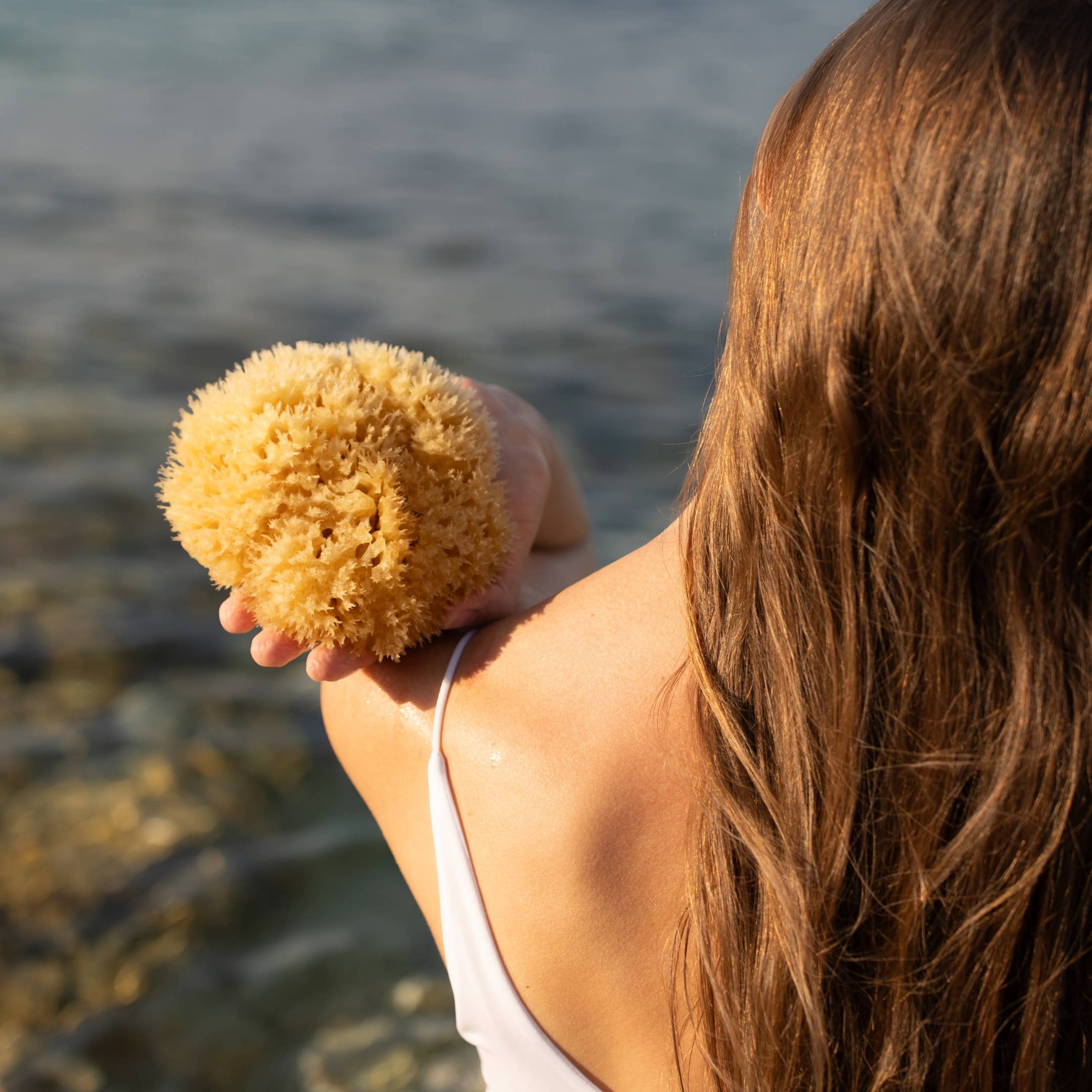 Natural sponge in an eco-friendly gift box