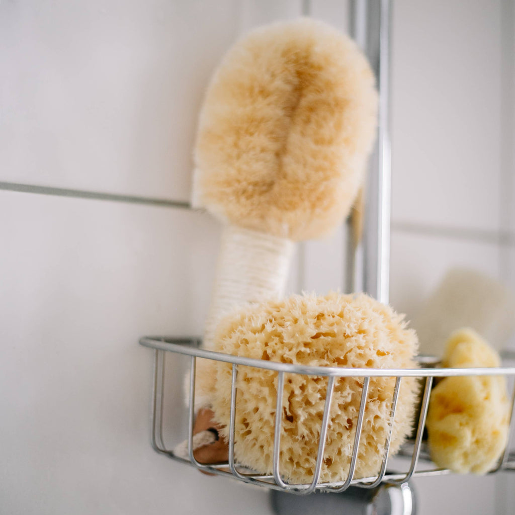 Natural sponge in an eco-friendly gift box