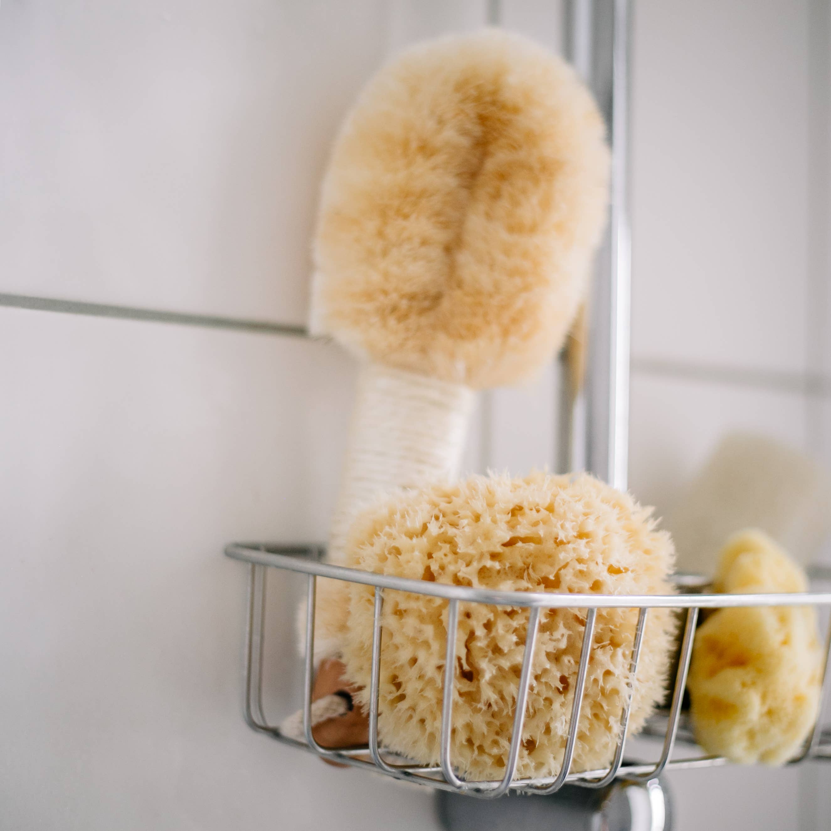 Natural sponge in an eco-friendly gift box