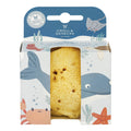 Natural Sponge Baby - Skincare Baby Shower