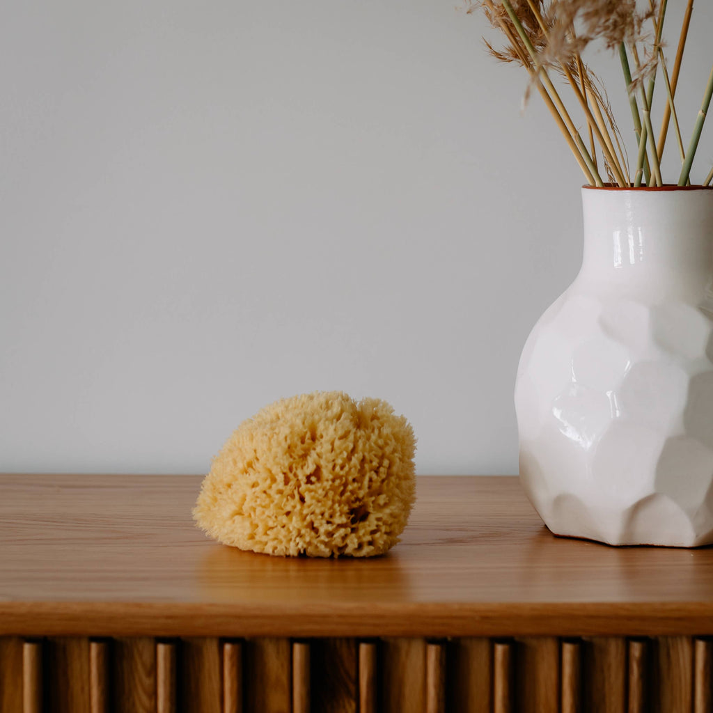 Natural sponge in an eco-friendly gift box