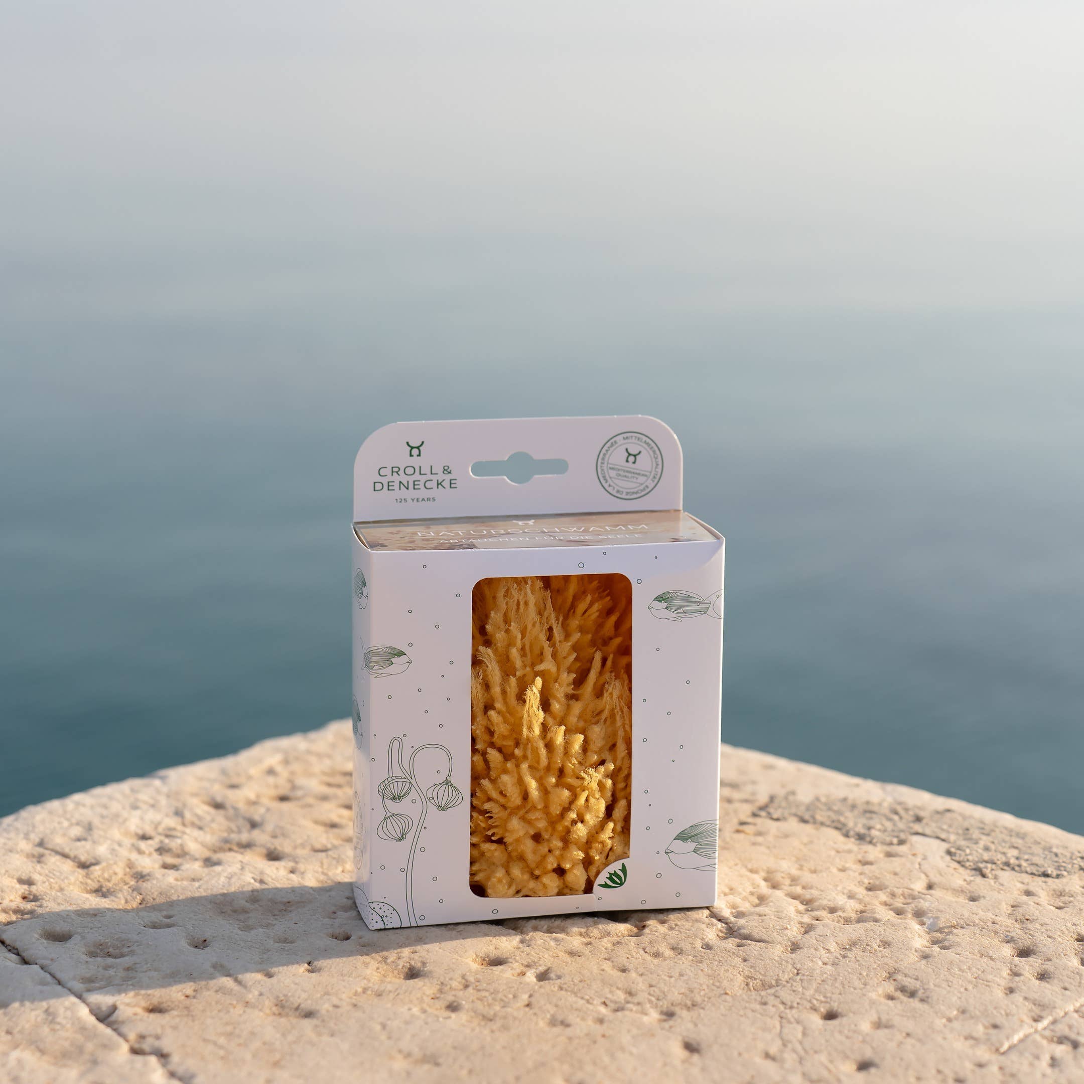 Natural sponge in an eco-friendly gift box