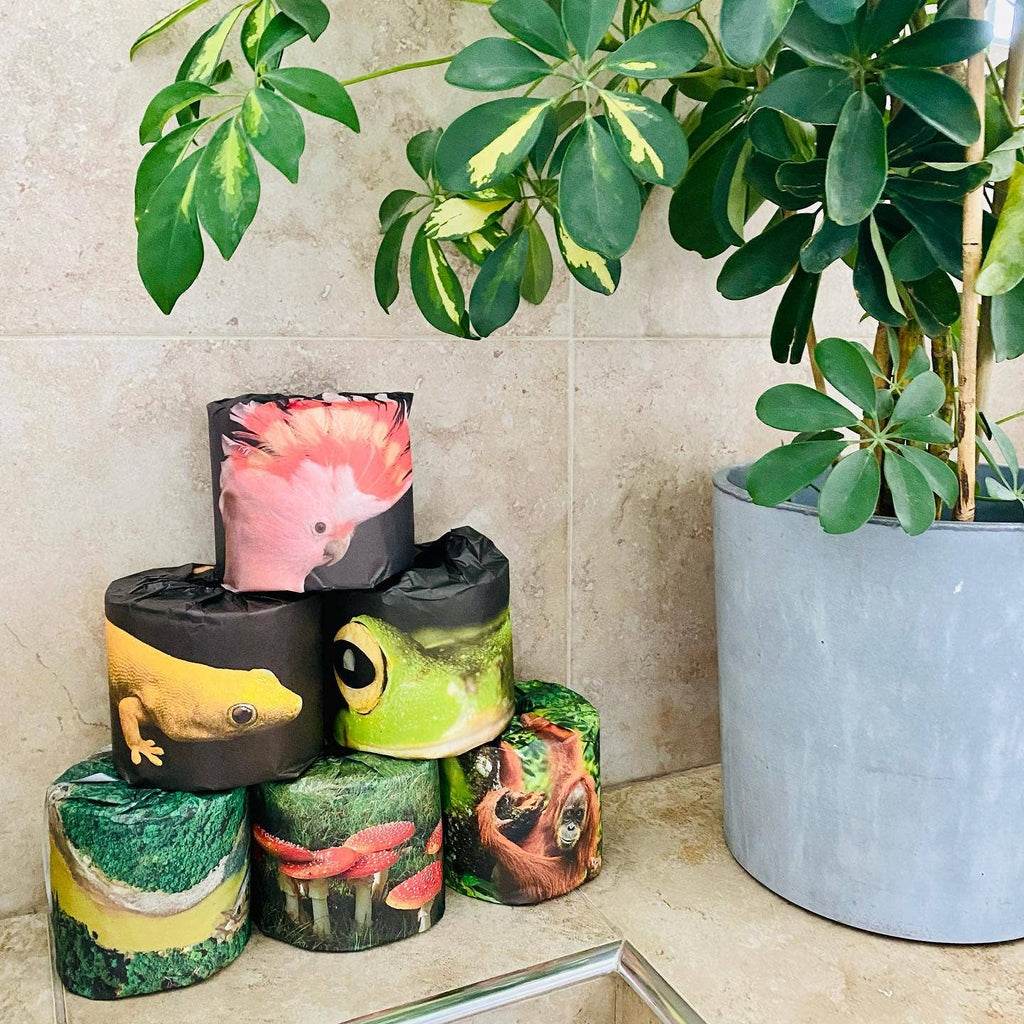 Extra Soft Toilet Roll (48 Rolls) Earth Limited Edition