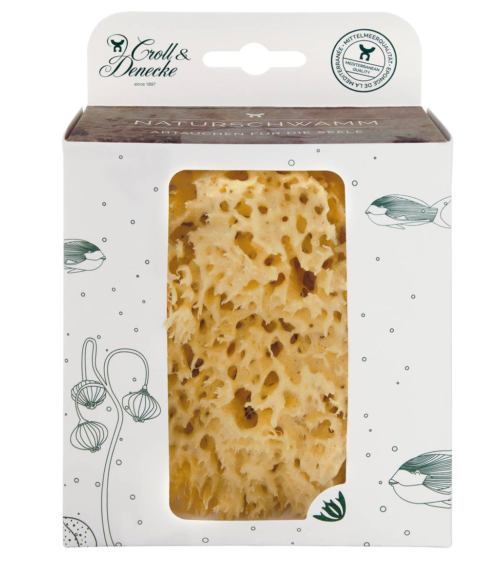 Natural sponge in an eco-friendly gift box